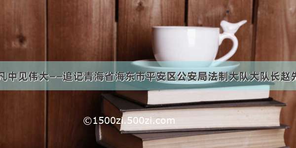 平凡中见伟大——追记青海省海东市平安区公安局法制大队大队长赵先忠