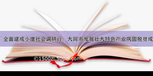 「全面建成小康社会调研行」大同市发展壮大特色产业巩固脱贫成果