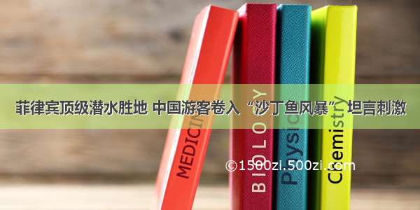 菲律宾顶级潜水胜地 中国游客卷入“沙丁鱼风暴” 坦言刺激