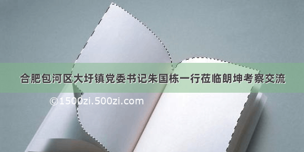 合肥包河区大圩镇党委书记朱国栋一行莅临朗坤考察交流