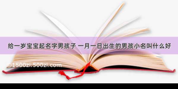 给一岁宝宝起名字男孩子 一月一日出生的男孩小名叫什么好