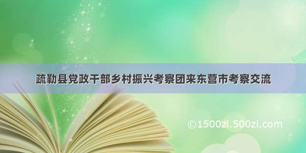 疏勒县党政干部乡村振兴考察团来东营市考察交流