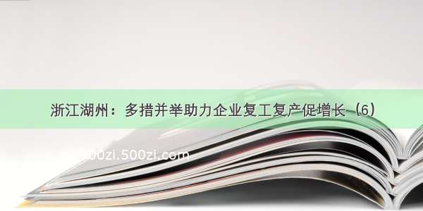 浙江湖州：多措并举助力企业复工复产促增长（6）