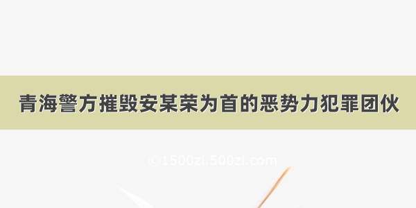 青海警方摧毁安某荣为首的恶势力犯罪团伙