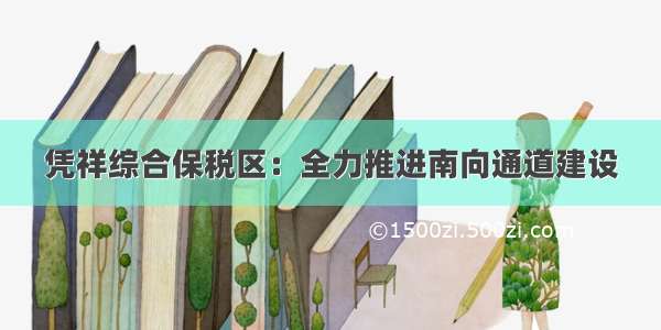 凭祥综合保税区：全力推进南向通道建设