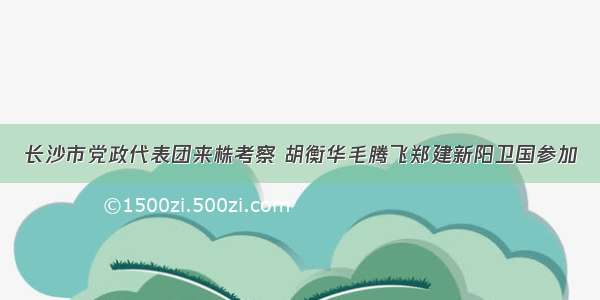 长沙市党政代表团来株考察 胡衡华毛腾飞郑建新阳卫国参加