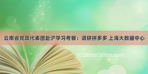 云南省党政代表团赴沪学习考察：调研拼多多 上海大数据中心