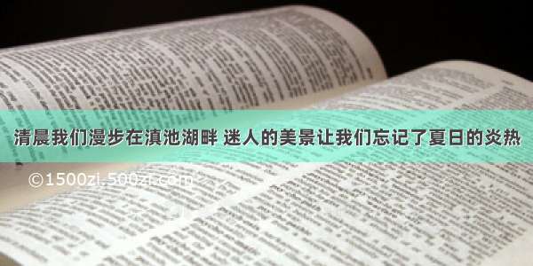 清晨我们漫步在滇池湖畔 迷人的美景让我们忘记了夏日的炎热