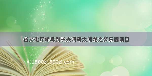 省文化厅领导到长兴调研太湖龙之梦乐园项目