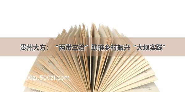 贵州大方：“两带三治”助推乡村振兴“大坝实践”