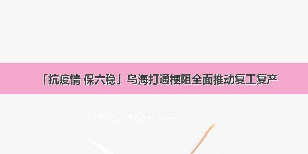 「抗疫情 保六稳」乌海打通梗阻全面推动复工复产