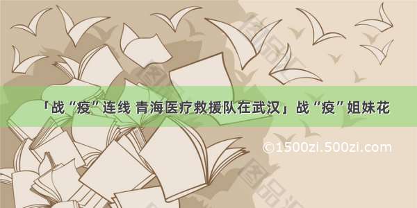 「战“疫”连线 青海医疗救援队在武汉」战“疫”姐妹花