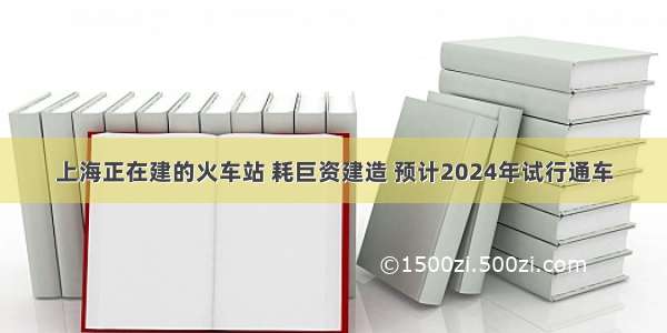 上海正在建的火车站 耗巨资建造 预计2024年试行通车