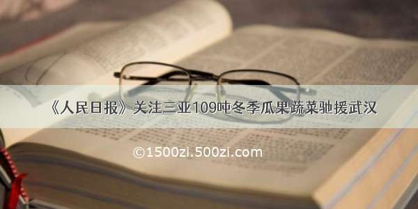 《人民日报》关注三亚109吨冬季瓜果蔬菜驰援武汉