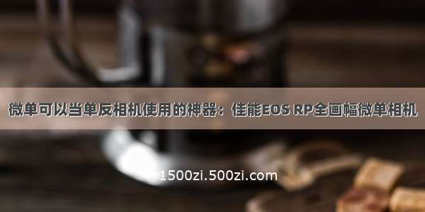 微单可以当单反相机使用的神器：佳能EOS RP全画幅微单相机