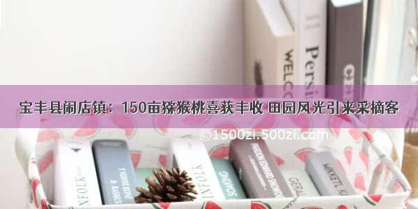 宝丰县闹店镇：150亩猕猴桃喜获丰收 田园风光引来采摘客