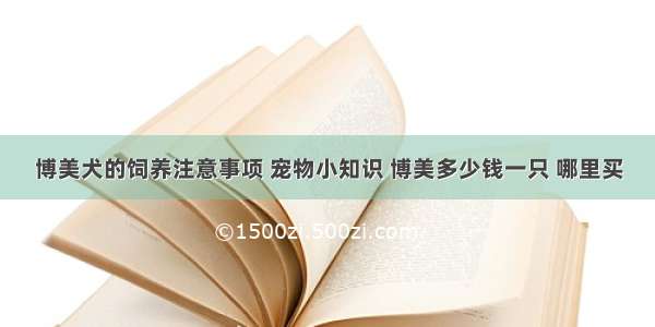 博美犬的饲养注意事项 宠物小知识 博美多少钱一只 哪里买