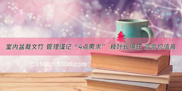 室内盆栽文竹 管理谨记“4点需求” 枝叶长得旺 观赏价值高