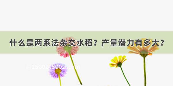 什么是两系法杂交水稻？产量潜力有多大？