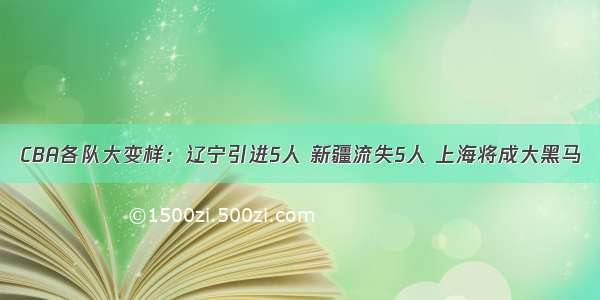 CBA各队大变样：辽宁引进5人 新疆流失5人 上海将成大黑马