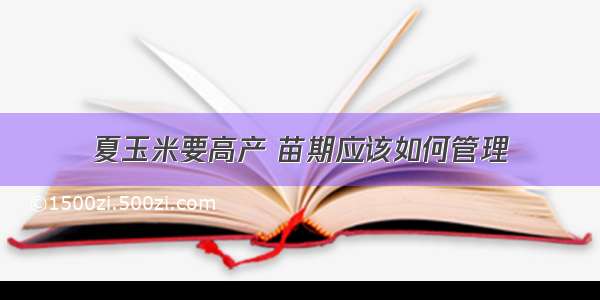 夏玉米要高产 苗期应该如何管理