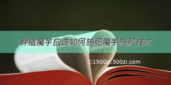 种植魔芋应该如何施肥魔芋施肥技术