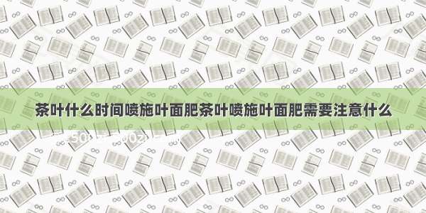 茶叶什么时间喷施叶面肥茶叶喷施叶面肥需要注意什么