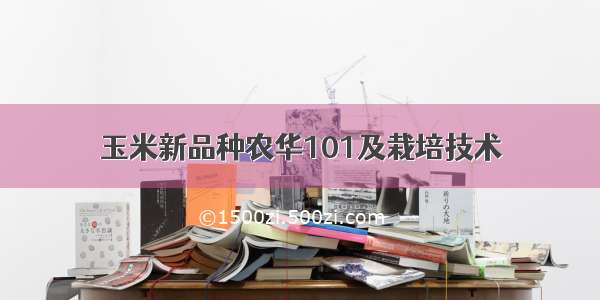 玉米新品种农华101及栽培技术