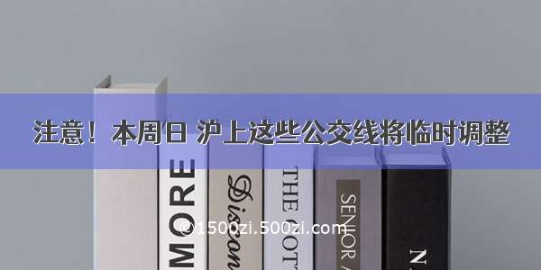 注意！本周日 沪上这些公交线将临时调整