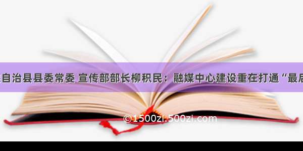 陵水黎族自治县县委常委 宣传部部长柳积民：融媒中心建设重在打通“最后一公里”