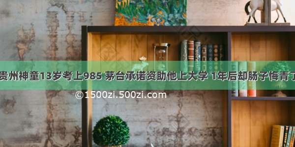 贵州神童13岁考上985 茅台承诺资助他上大学 1年后却肠子悔青了