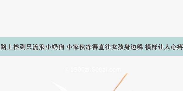 路上捡到只流浪小奶狗 小家伙冻得直往女孩身边躲 模样让人心疼