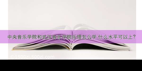 中央音乐学院和武汉音乐学院乐理怎么学 什么水平可以上？