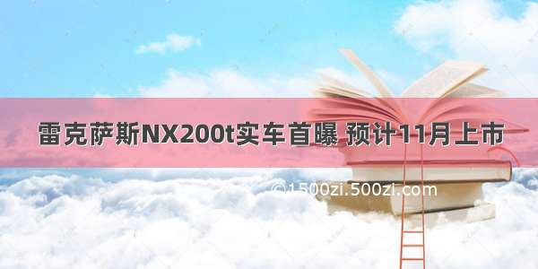 雷克萨斯NX200t实车首曝 预计11月上市