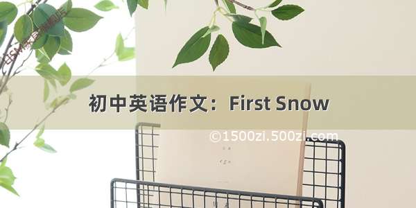 初中英语作文：First Snow