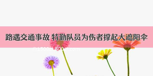 路遇交通事故 特勤队员为伤者撑起大遮阳伞