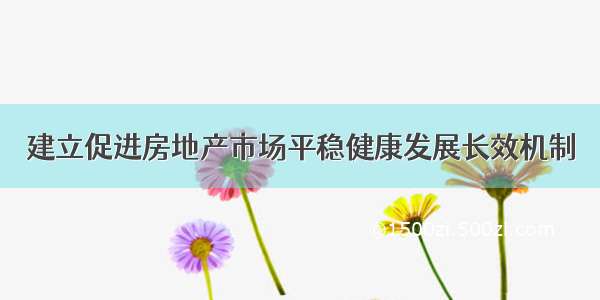 建立促进房地产市场平稳健康发展长效机制