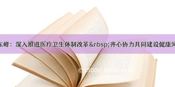 王东峰：深入推进医疗卫生体制改革 齐心协力共同建设健康河北