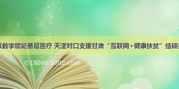 以数字赋能基层医疗 天津对口支援甘肃“互联网+健康扶贫”结硕果