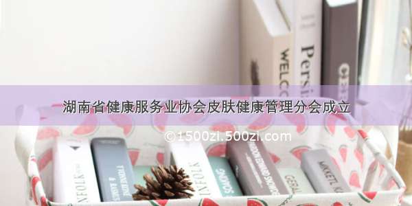 湖南省健康服务业协会皮肤健康管理分会成立