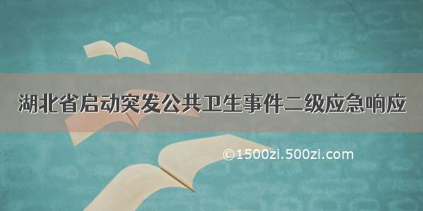 湖北省启动突发公共卫生事件二级应急响应