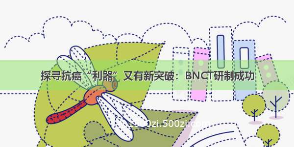 探寻抗癌“利器”又有新突破：BNCT研制成功