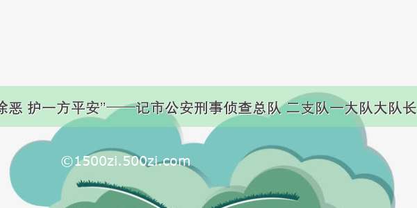 “扫黑除恶 护一方平安”──记市公安刑事侦查总队 二支队一大队大队长陈志强