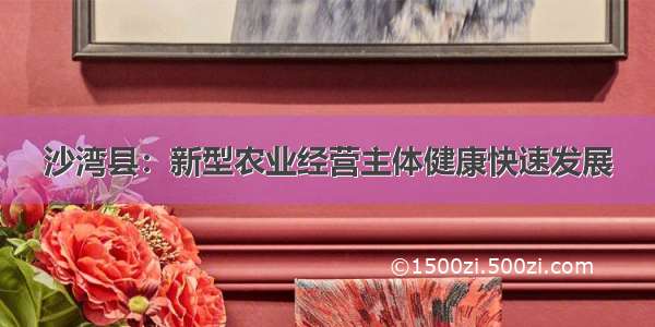 沙湾县：新型农业经营主体健康快速发展