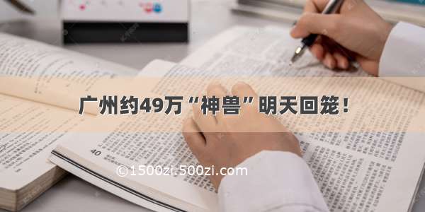 广州约49万“神兽”明天回笼！