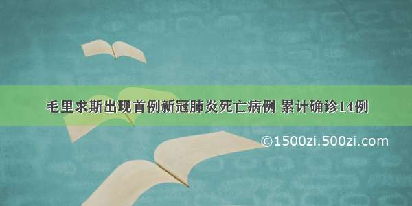 毛里求斯出现首例新冠肺炎死亡病例 累计确诊14例