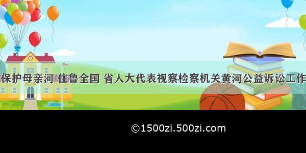 保护母亲河 住鲁全国 省人大代表视察检察机关黄河公益诉讼工作