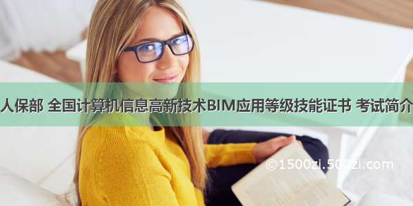 人保部 全国计算机信息高新技术BIM应用等级技能证书 考试简介