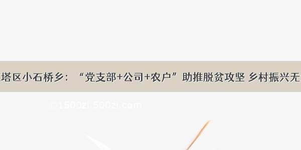 玉溪红塔区小石桥乡：“党支部+公司+农户”助推脱贫攻坚 乡村振兴无缝衔接