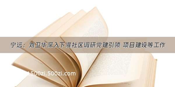 宁远：刘卫华深入下灌社区调研党建引领 项目建设等工作